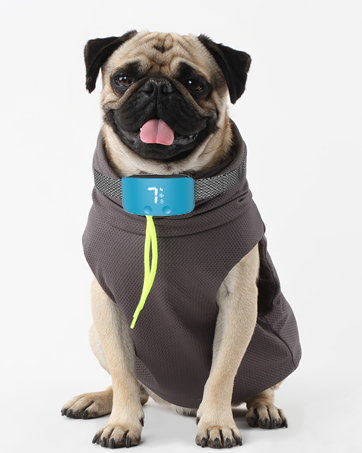 bark control device