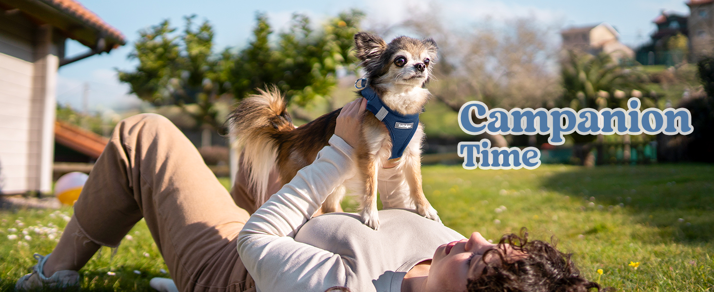 Playing in the backyard with soft small dog harness