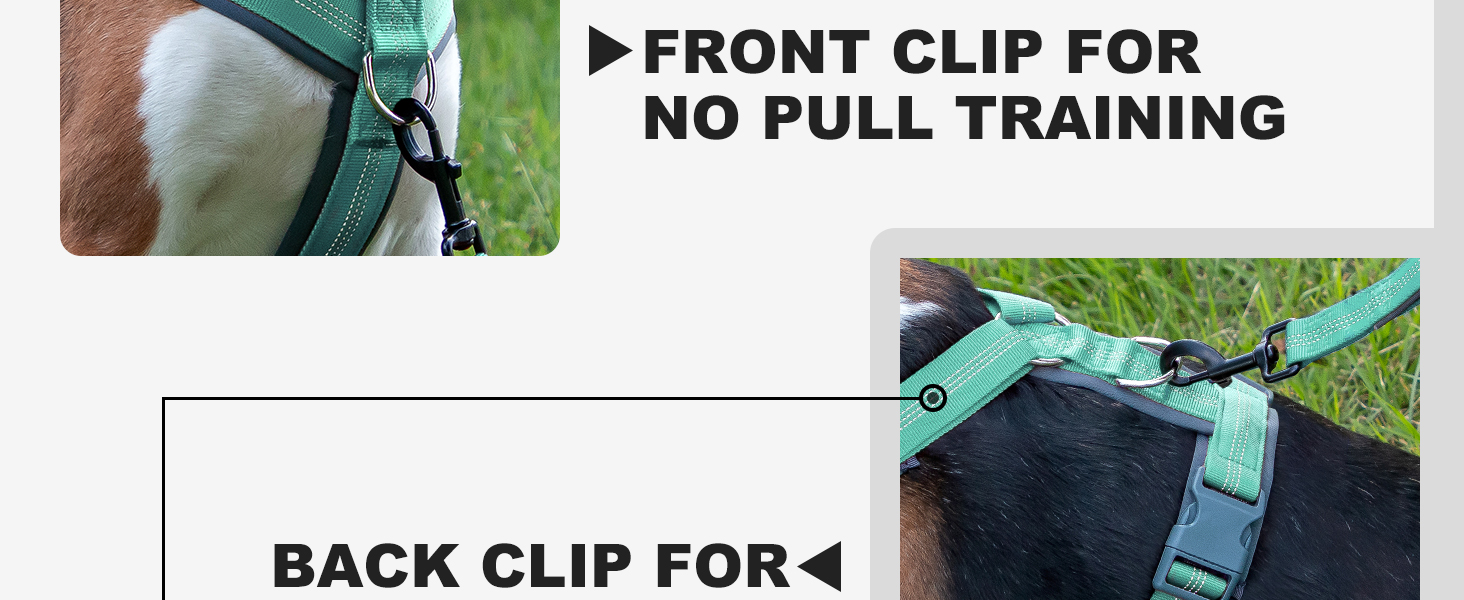 dog harness for large dogs