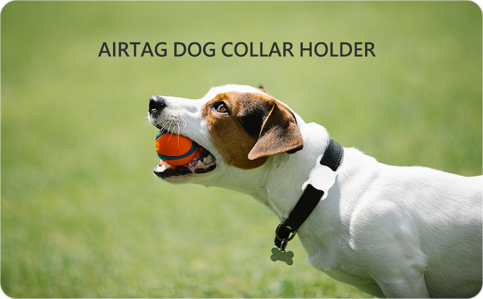 iartag