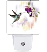 Jopowide Groovy Hummingbird Flowers Dusk to Dawn Night Light, Auto Sensor Lamp Home Indoor Stairw...