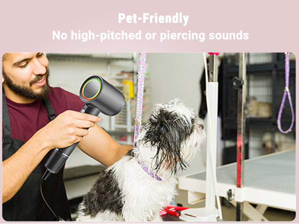 hair dryer pet dog