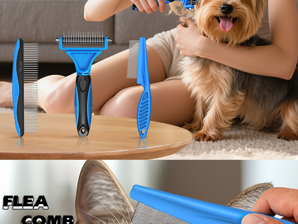 cat brush