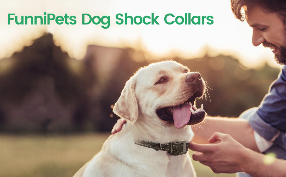 FunniPets Dog Shock Collars
