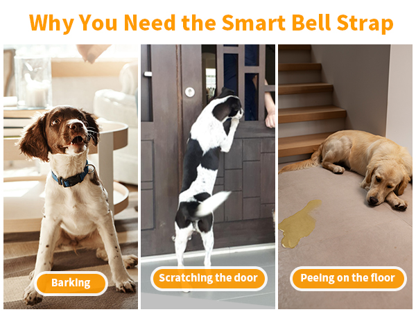 dog Barking, scratching the door, peeing on the floor, need a dog bell to help