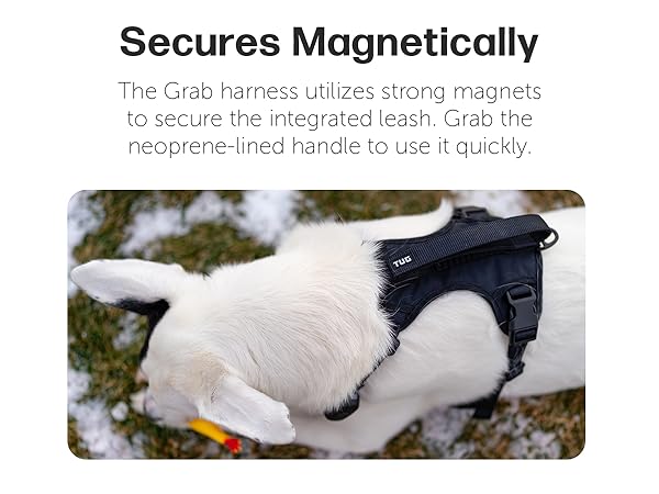 grab harness