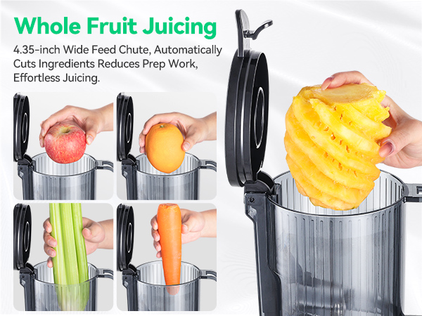 slow juicer