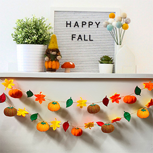 Felt Pumpkin Garland 12