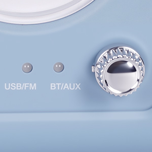 adjust button