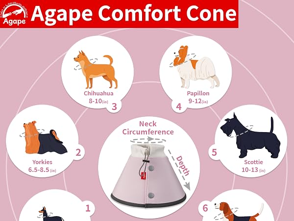 dog cone