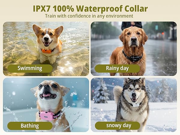 waterproof e collar for dogs training 3 pack