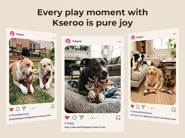 Every play moment with Kseroo is pure joy