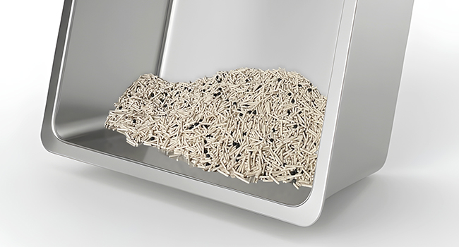 litter box