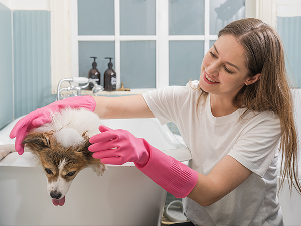 Pet Caring