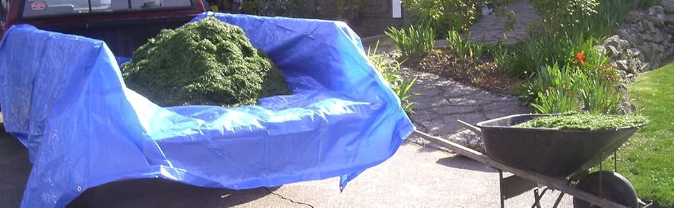 lawn;leaves;compost