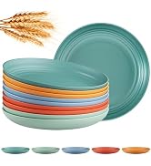 Quatish 10 PCS Unbreakable Reusable Plastic Plates,8 inch Dishwasher & Microwave Safe Dinner Plat...
