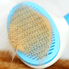 beds stuff pets products