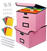 DECOSIS 2Pack File Storage Organizer with 10 Hanging Folders & Plastic Slide, Collapsible Linen F...