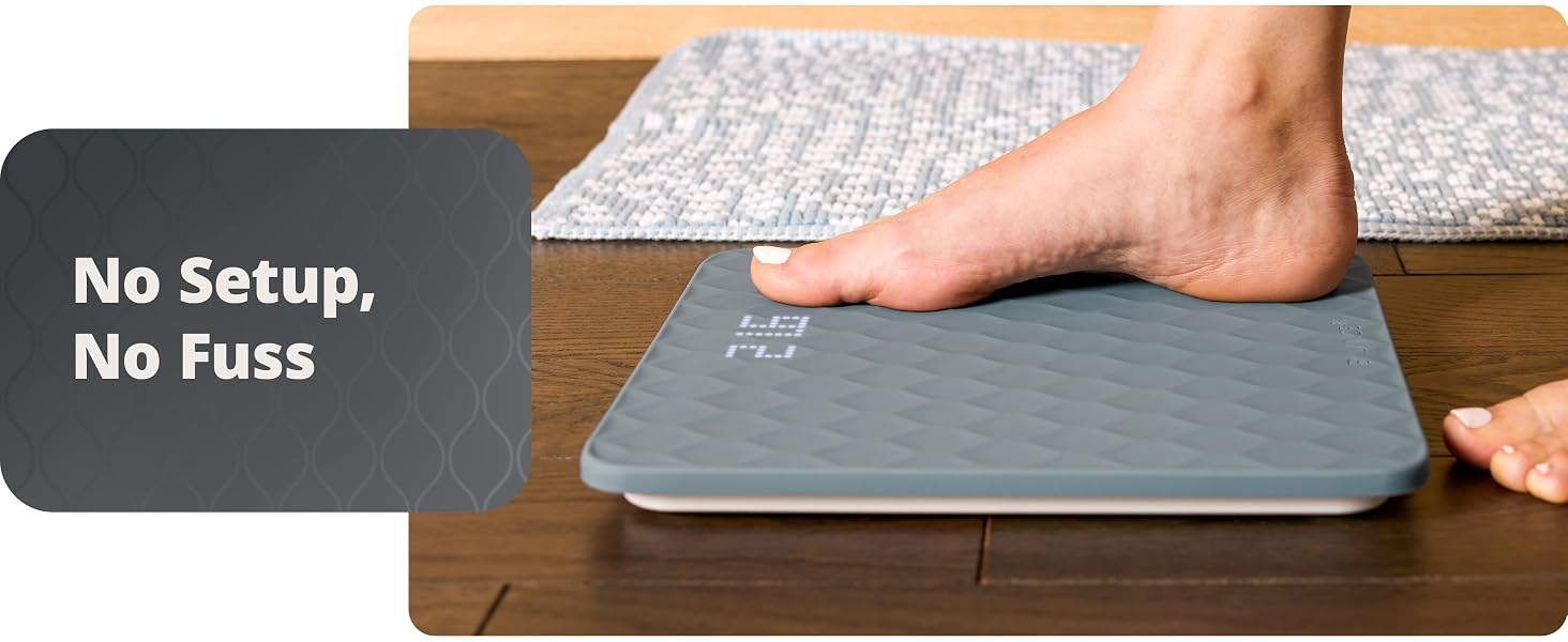 scale
