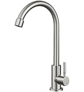 Heyalan Brushed Nickel Kitchen Faucet Cold Water Only 1 Hole Single Handle 360 Degree Swivel Spou...