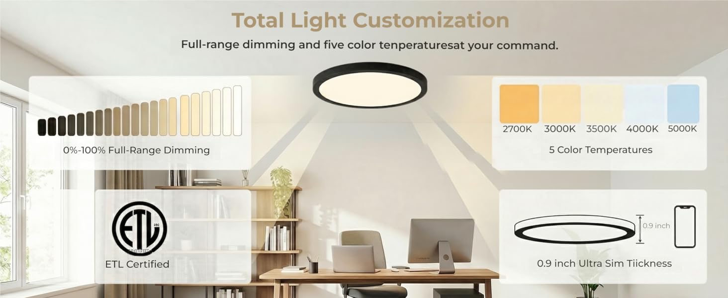 ceiling light