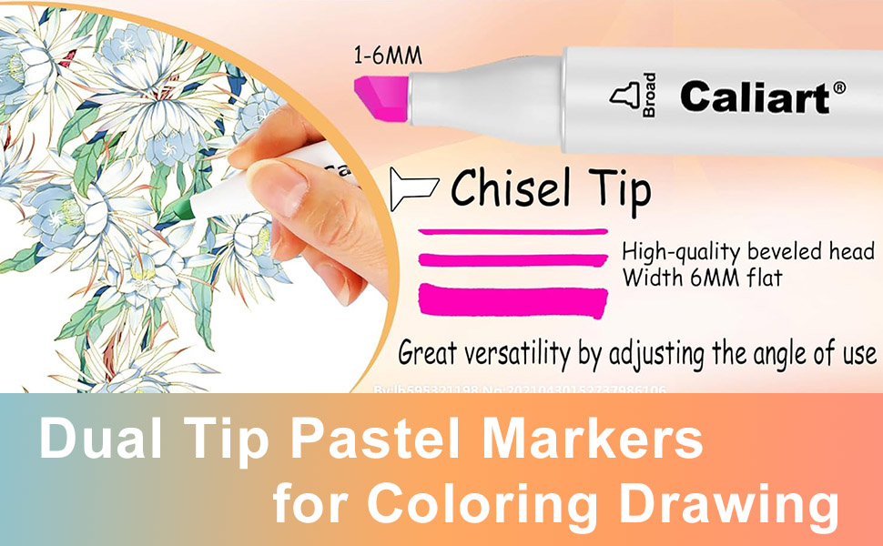 Caliart alcohol markers chisel tip