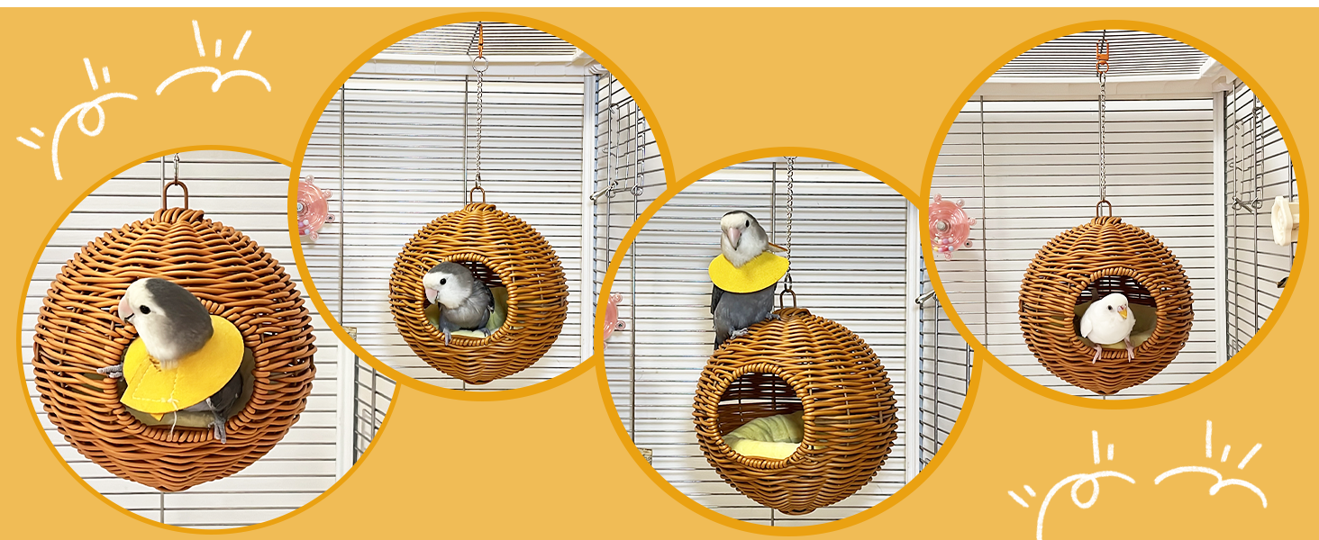 parakeet cage accessories bed
