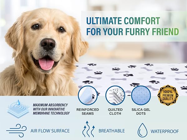 washable pee pads for dogs