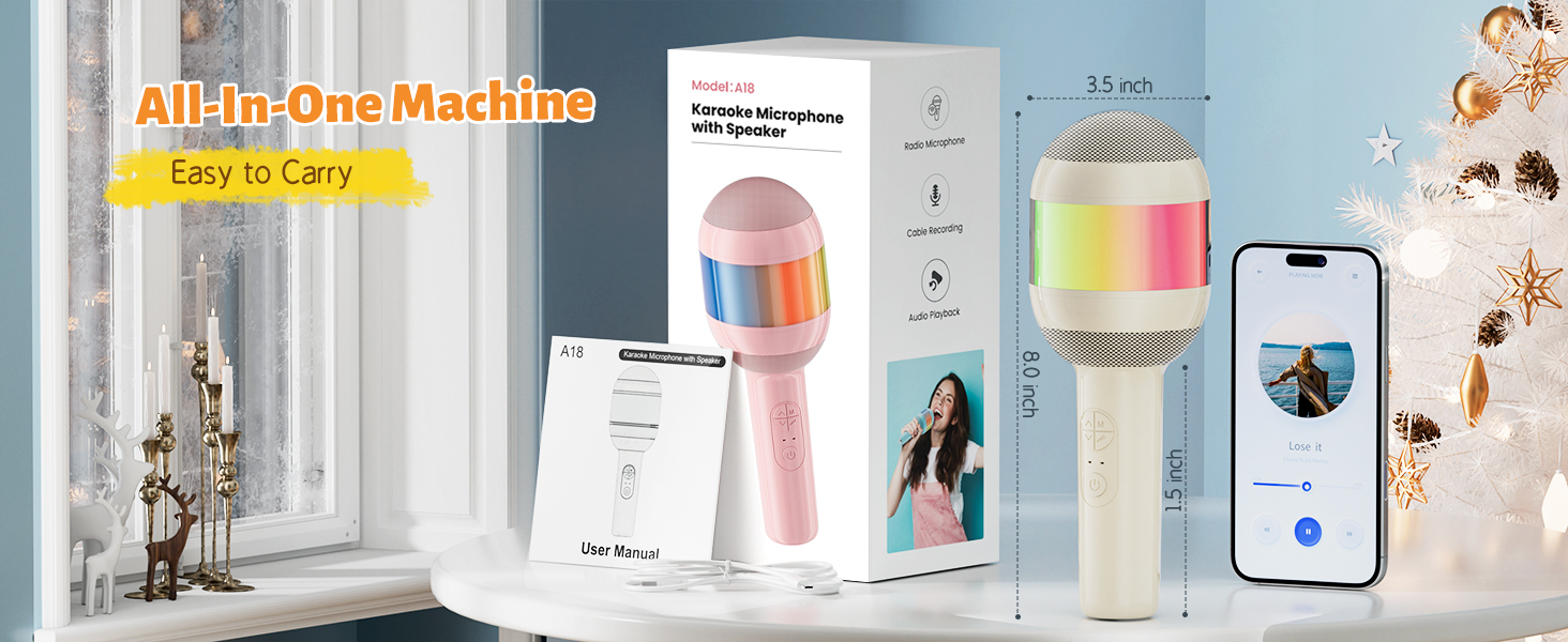 karaoke microphone wireless