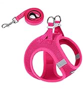 dog harness smalll dog