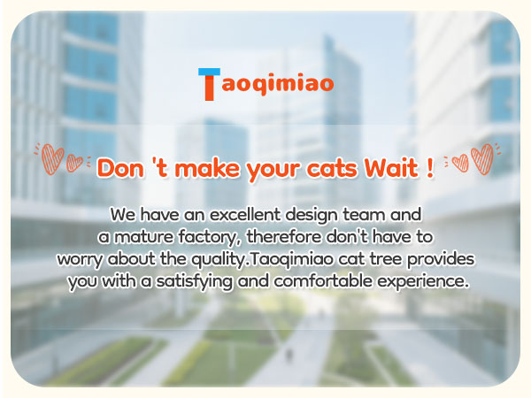 Text reads 'Taoqimiao' and 'Don't make your cats Wait!' Product advertisement with blue-tinted background and message about excellent design team and customer factory.