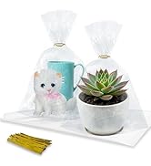 FARVIGOR Cellophane Treat Bags 100Pcs, Clear Plastic Goodie Gift Bags with Twist Ties for Party F...
