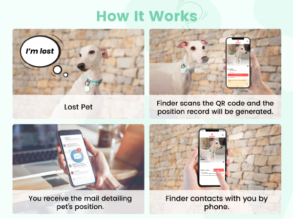 Pawaii Code Pet ID Tag, Silent Silicone Dog ID Tag, Modifiable Pet Online Profile