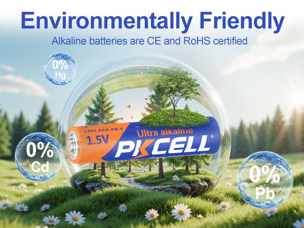LR03 AAA Battery