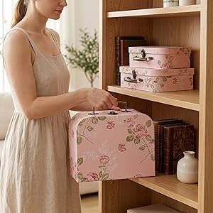 Suitcases Storage Box