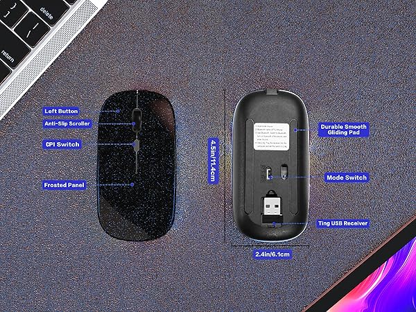 Mouse