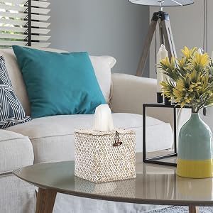 Decorative Tissue Holder for Living Room