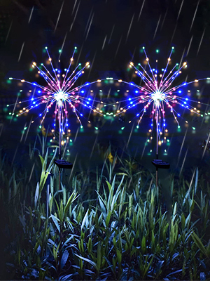 Firework Lights