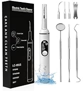 Premium Electric Oral Cleaner – Violet Light Care, 316F Stainless Steel Tips, 5 Modes, IPX6 Water...