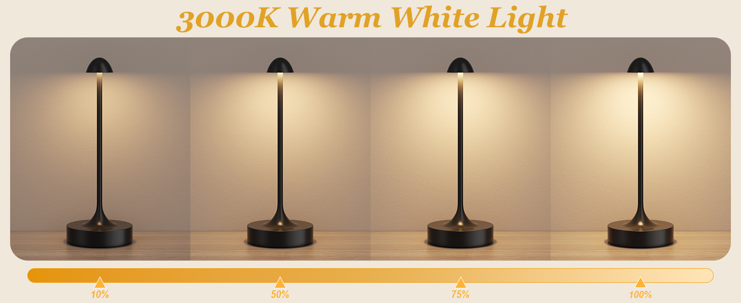 battery operated lamp