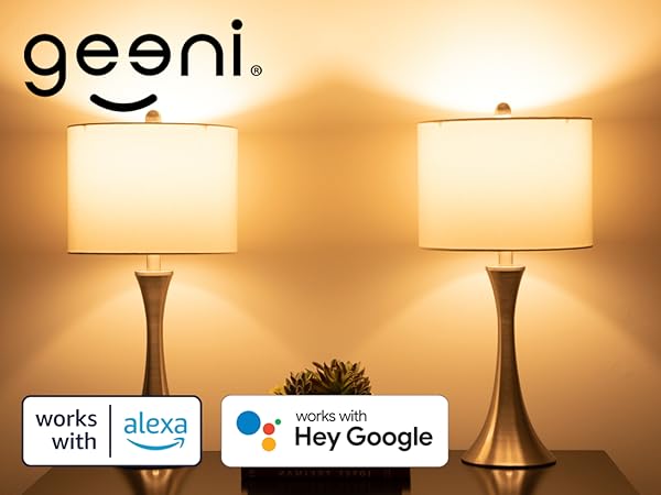 Household Supplies LED Bulbs Smart Alexa Light Bulbs