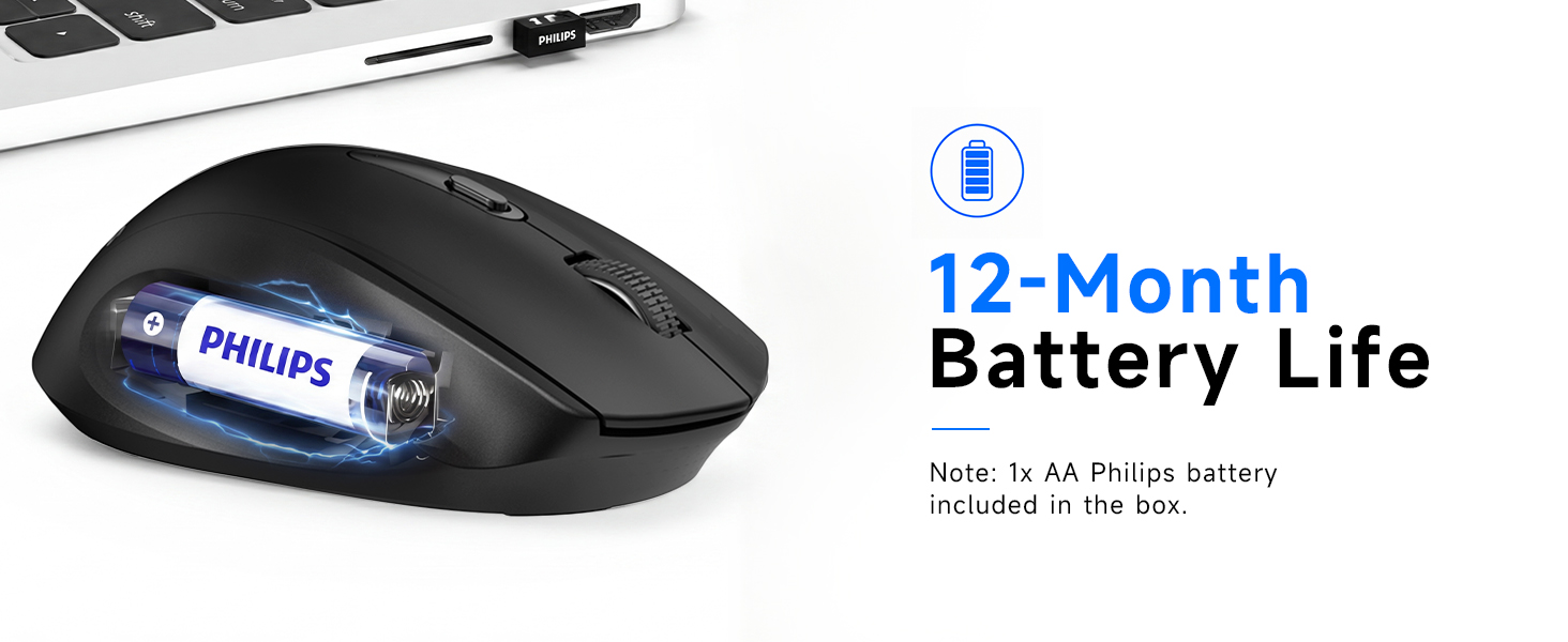 computer mice