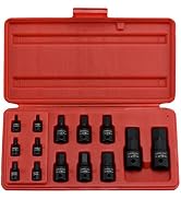 NEIKO 01141B Allen-Bit Socket Set, Metric Socket Set, 2.5 mm to 19 mm, 1/4-Inch, 3/8-Inch, and 1/...
