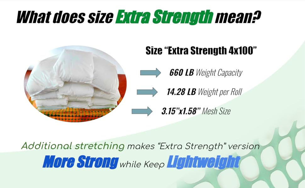 compare size