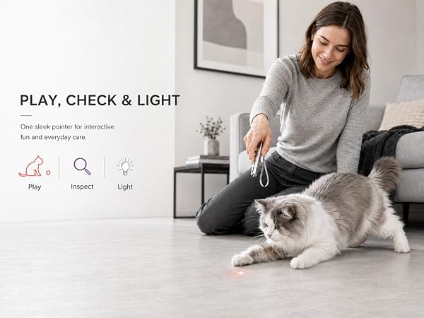 PLAY. CHECK & LIGHT