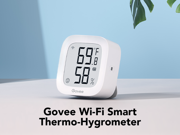 Thermometer Hygrometer
