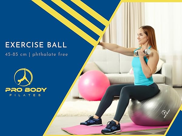 exercise balls accessories ball chair office back pregnancy ball exercise labor pregnancy ball