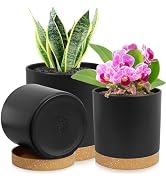 WSMKSZ 3 Pack 6/5/4 inch Cylindrical Flower Pots, Modern Small Round Plastic Plant Pots with Drai...