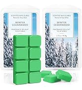 SCENTORINI Wax Melts Wax Cubes, Winter Cedarwood Candle Wax Melts Strong Scent, Soy Scented Wax M...