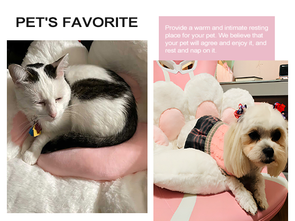 cat paw cushion